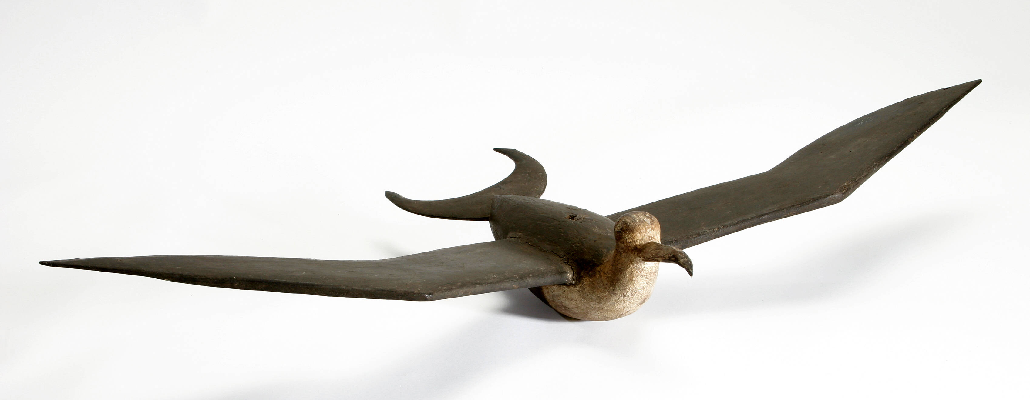 bird, model, 35693, Cultural Permissions Apply
